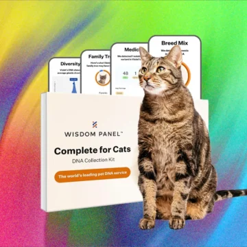 The best at home pet dna test kits tested on my cats